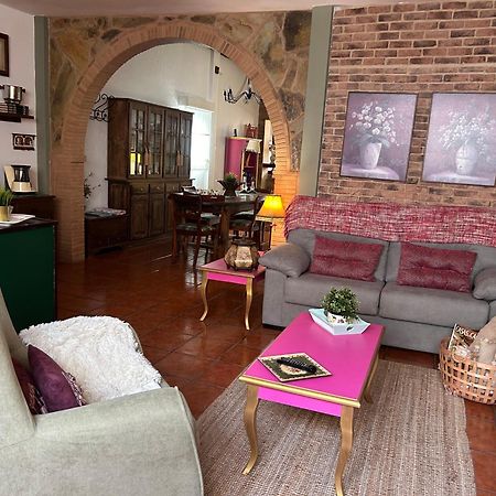 Loft Rural Apartment Tegueste Exterior photo
